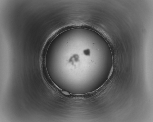 X0000115780440200911201315