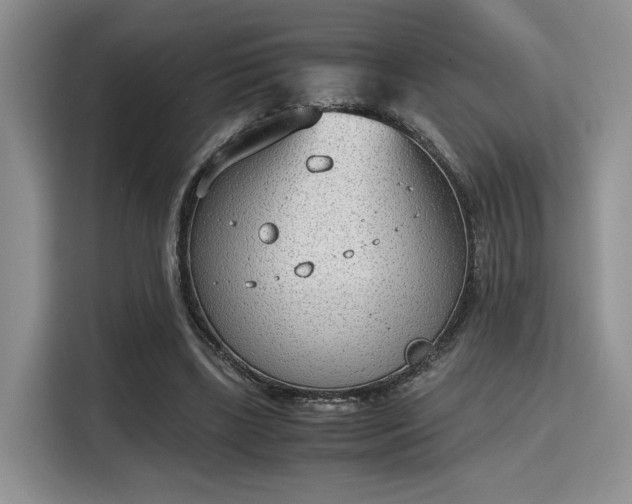 X0000115780443200911201315