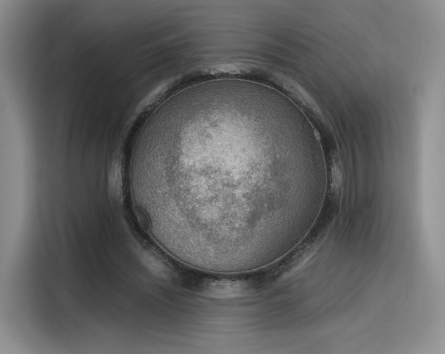X0000115780444200911201315