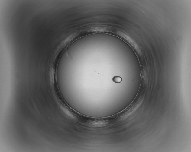 X0000115780445200911201315