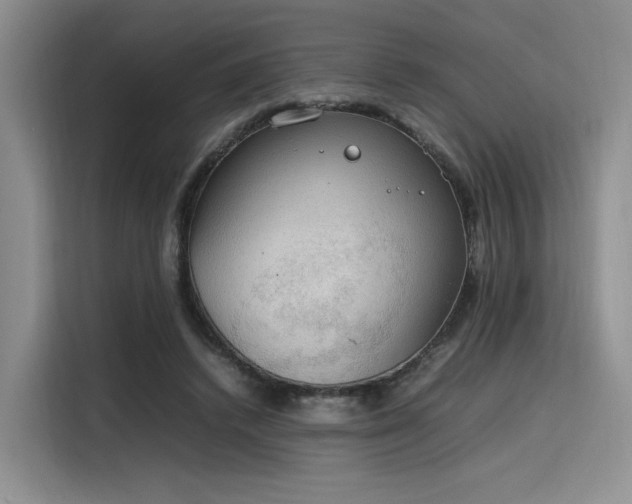 X0000115780448200911201315