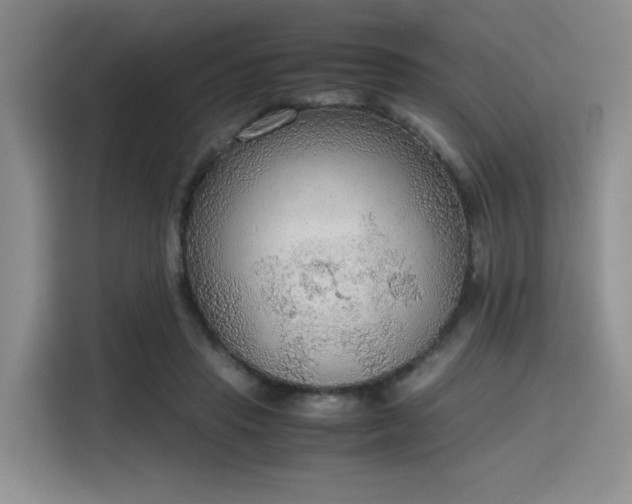 X0000115780453200911201315