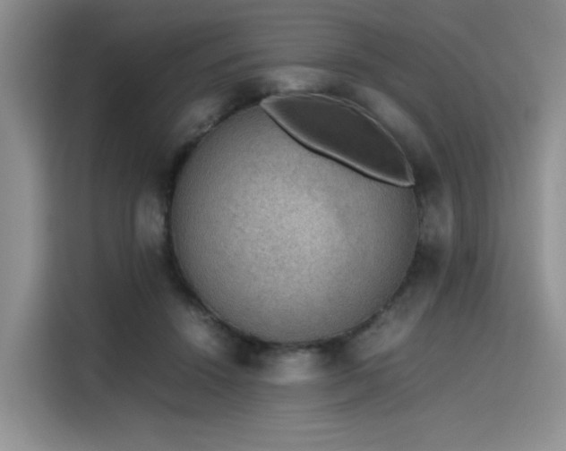 X0000115780456200911201315