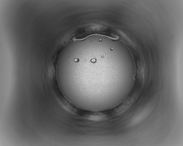 X0000115780459200911201315