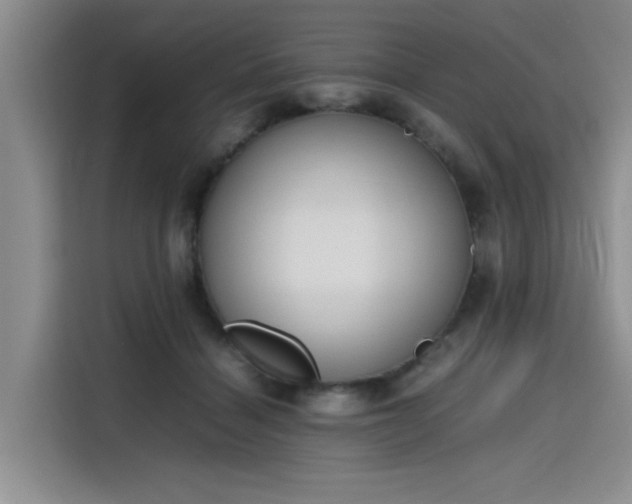 X0000115780460200911201315