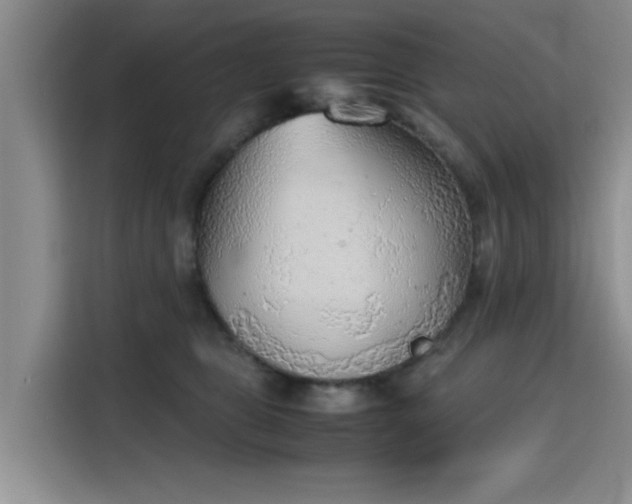 X0000115780469200911201315