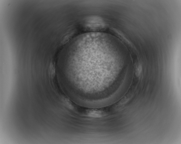 X0000115780471200911201315