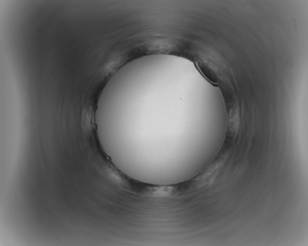 X0000115780474200911201315