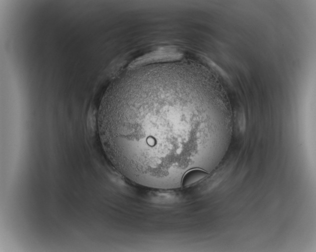 X0000115780475200911201315