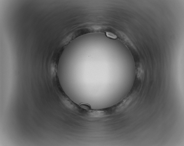 X0000115780476200911201315