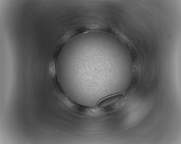 X0000115780479200911201315