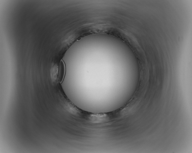 X0000115780480200911201315
