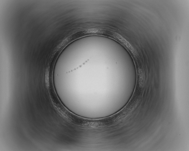 X0000115780482200911201315