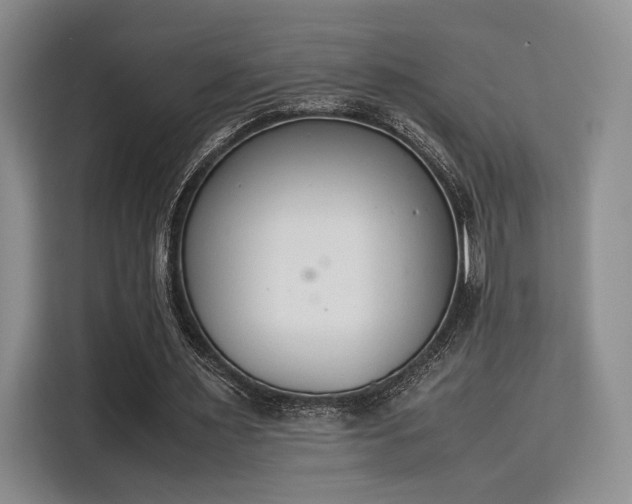 X0000115780483200911201315