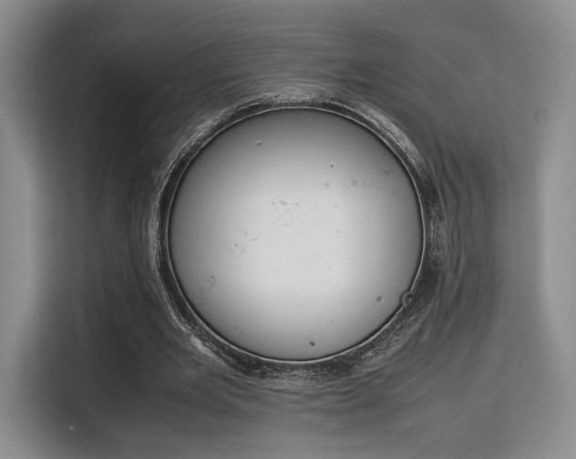 X0000115780485200911201315