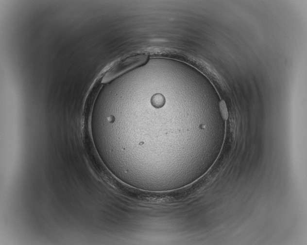 X0000115780488200911201315
