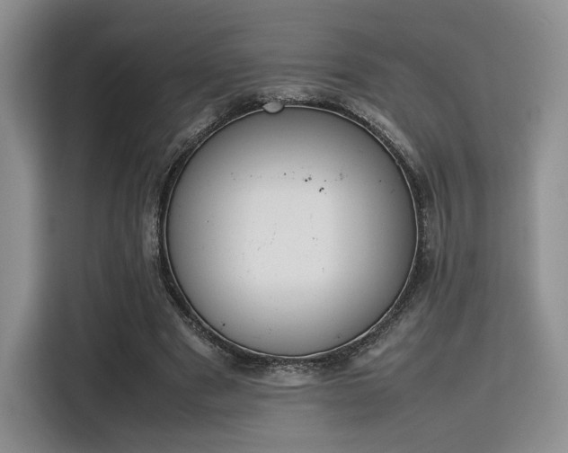 X0000115780489200911201315