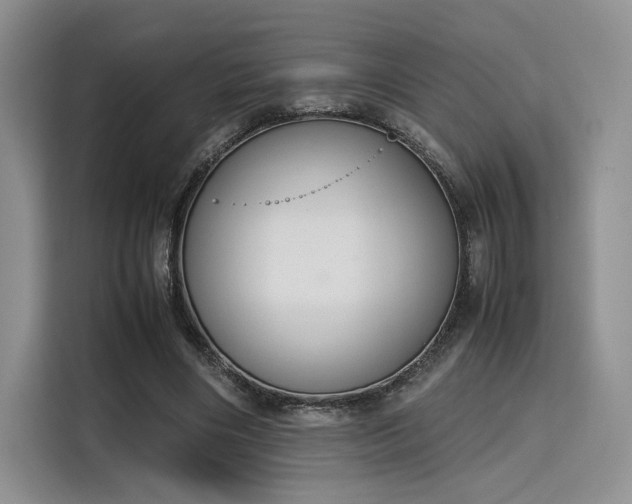 X0000115780490200911201315