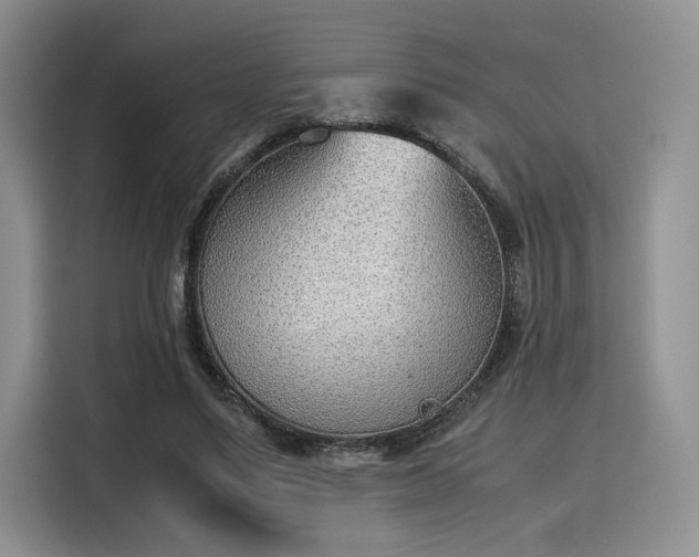 X0000115780491200911201315