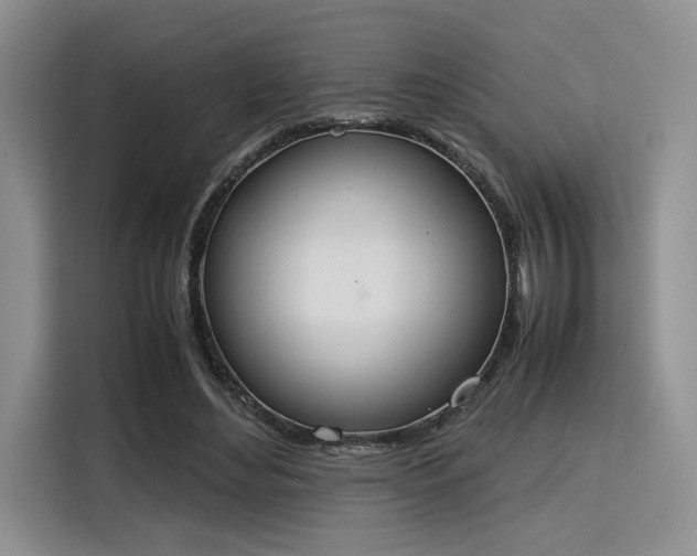 X0000115780492200911201315