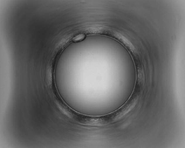 X0000115780493200911201315