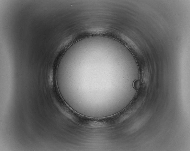 X0000115780494200911201315