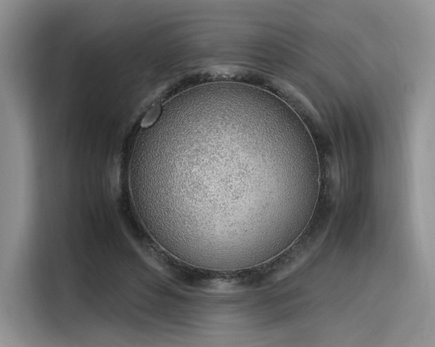 X0000115780496200911201315