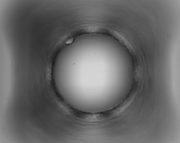 X0000115780497200911201315