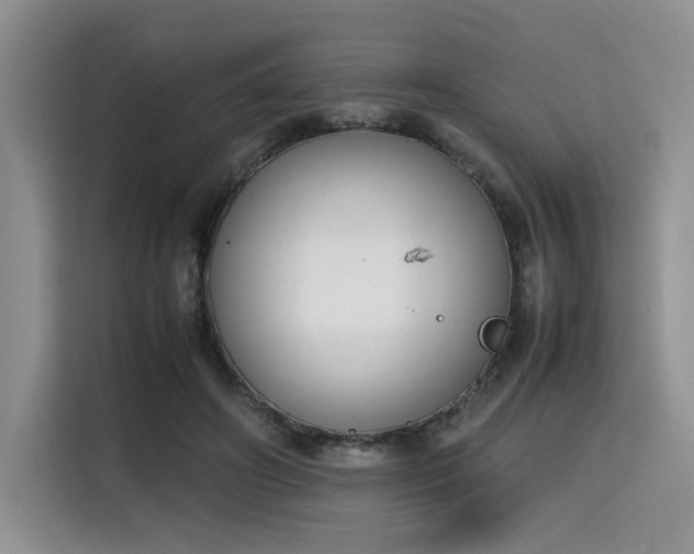 X0000115780498200911201315