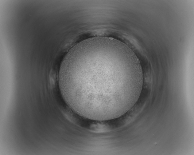 X0000115780503200911201314