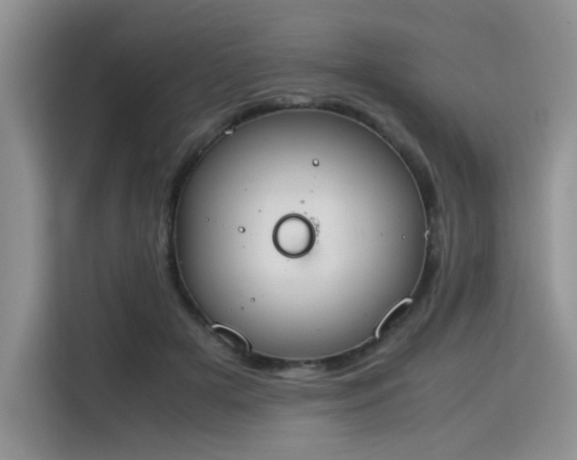 X0000115780505200911201314