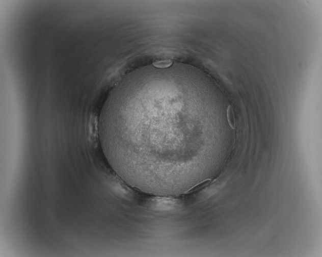 X0000115780528200911201314