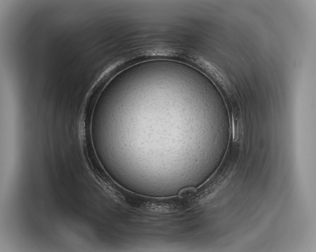 X0000115780531200911201314