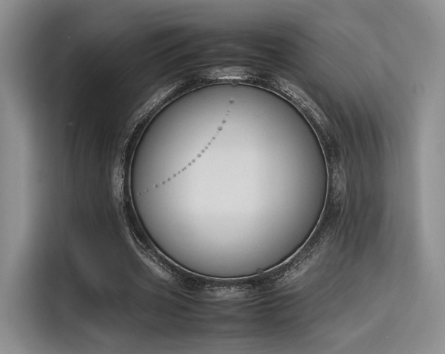 X0000115780533200911201314