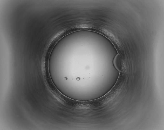 X0000115780535200911201314