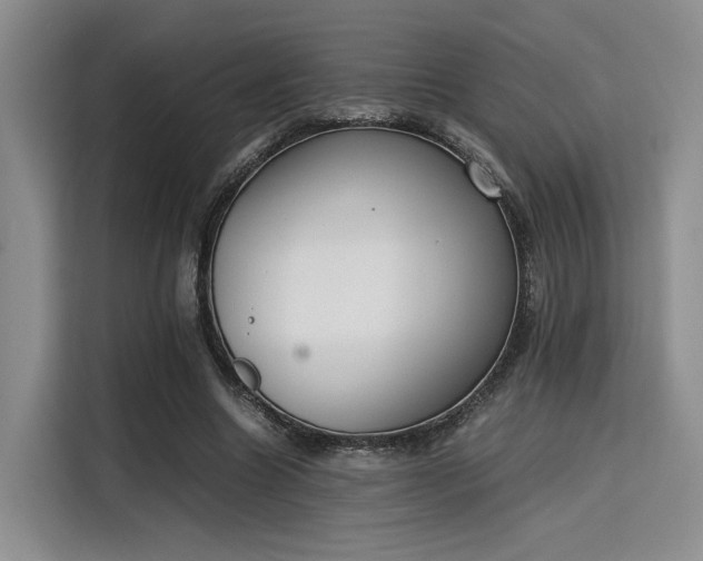 X0000115780538200911201314
