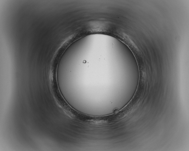 X0000115780539200911201314