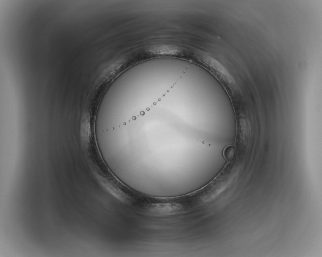 X0000115780541200911201314