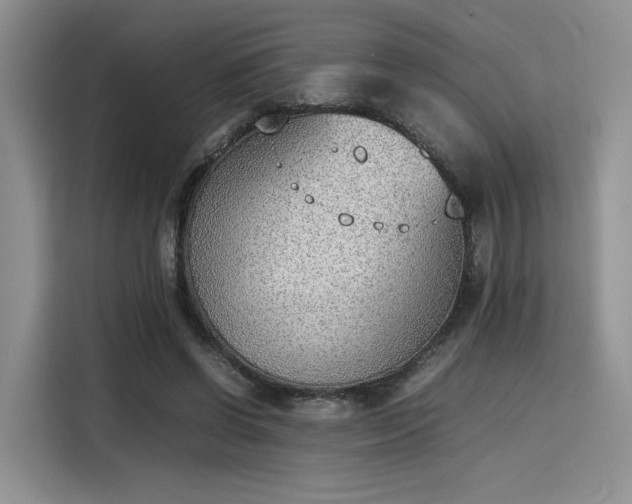X0000115780542200911201314