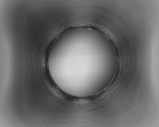 X0000115780546200911201314