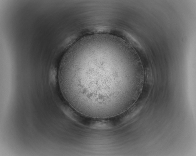 X0000115780550200911201314