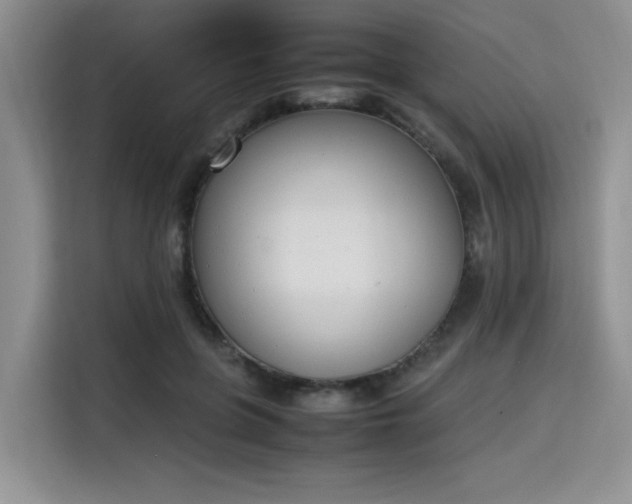 X0000115780551200911201314