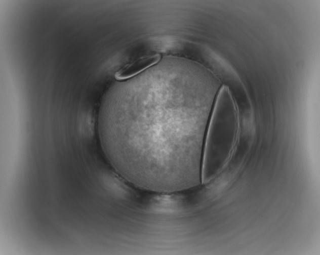 X0000115780558200911201314