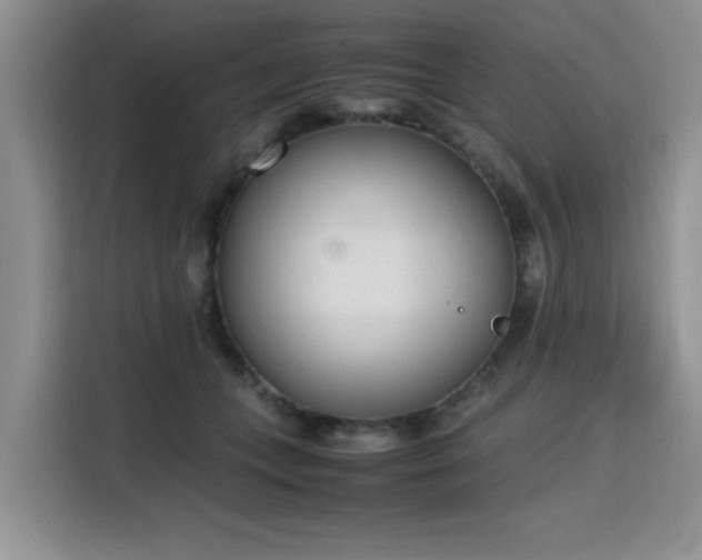 X0000115780559200911201314