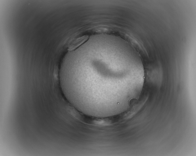 X0000115780561200911201314