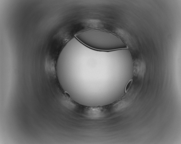 X0000115780573200911201314