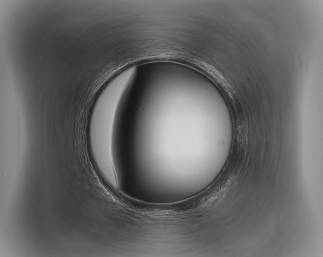 X0000115780577200911201313