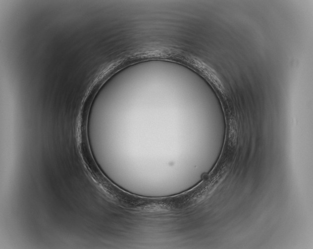 X0000115780578200911201313