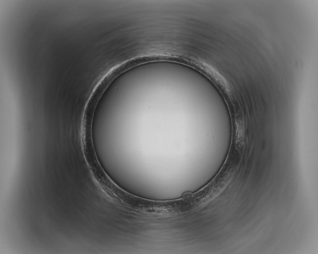 X0000115780580200911201313
