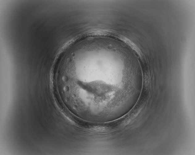 X0000115780581200911201313